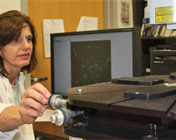 OU College of Medicine Researcher Discovers Protein in Development of Nearsightedness